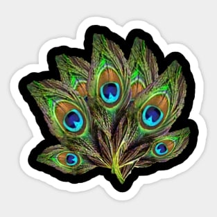 Peacock Feather designs Sticker